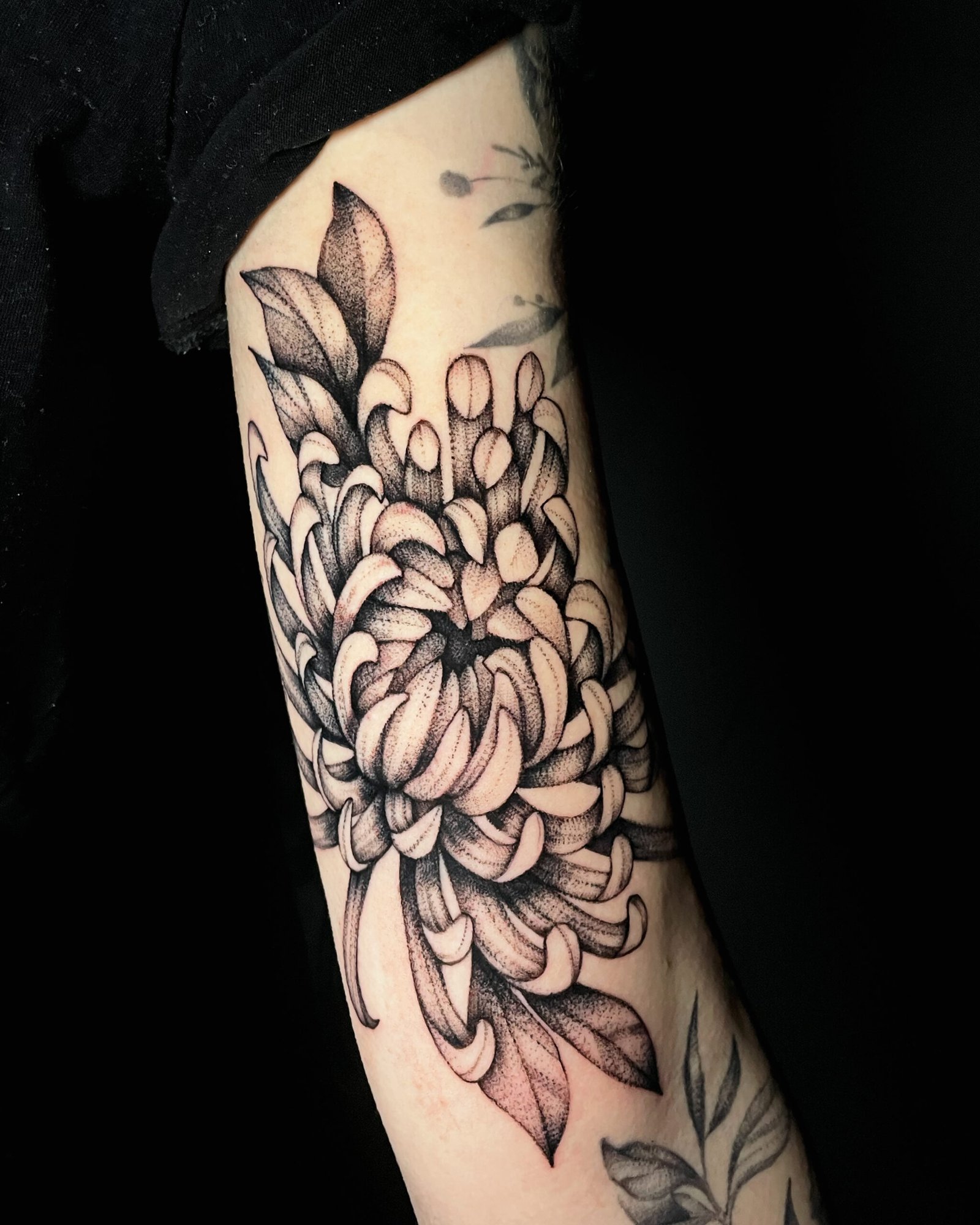 Eulen Innenarm Tattoo